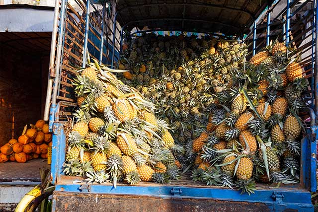 UN Cambodia